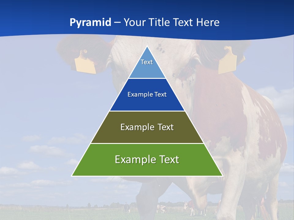 A Cow Standing In A Field With A Sky Background PowerPoint Template