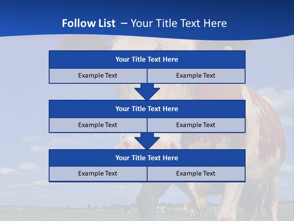 A Cow Standing In A Field With A Sky Background PowerPoint Template