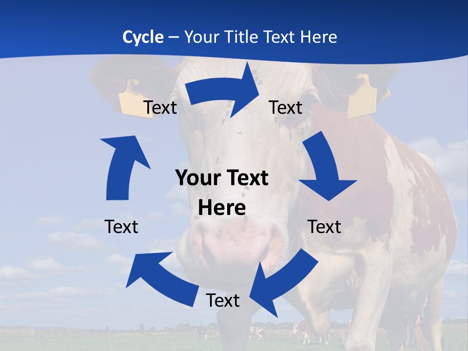 A Cow Standing In A Field With A Sky Background PowerPoint Template