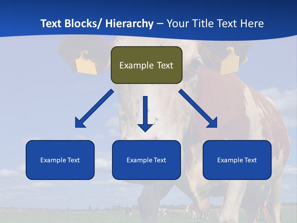 A Cow Standing In A Field With A Sky Background PowerPoint Template