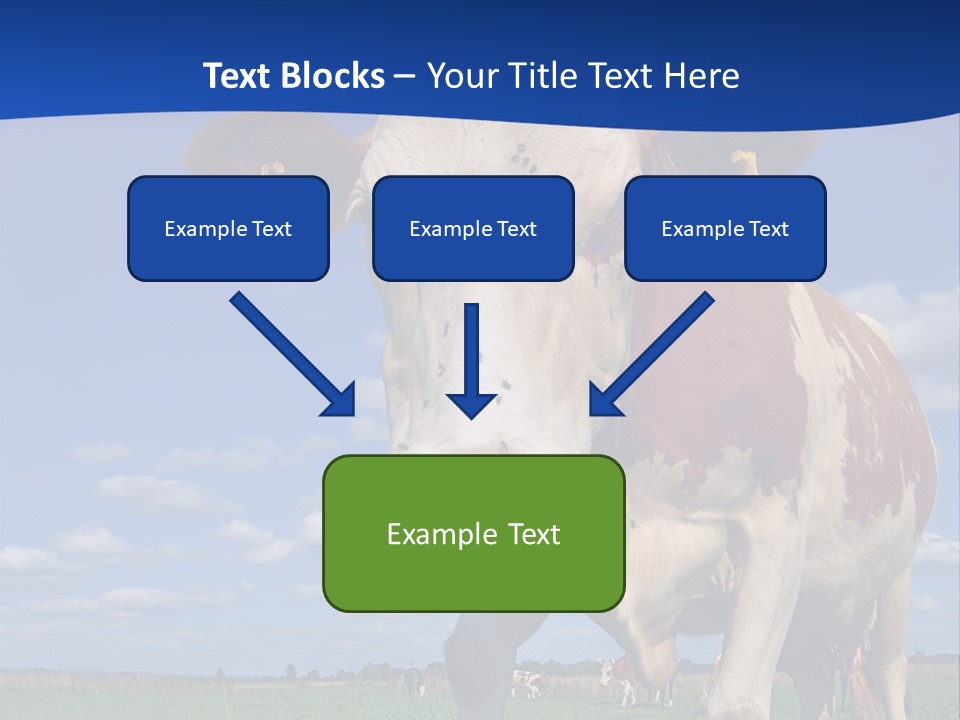 A Cow Standing In A Field With A Sky Background PowerPoint Template