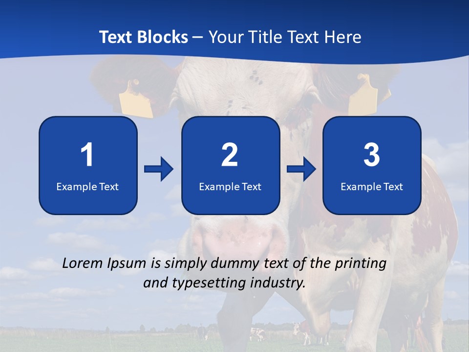 A Cow Standing In A Field With A Sky Background PowerPoint Template