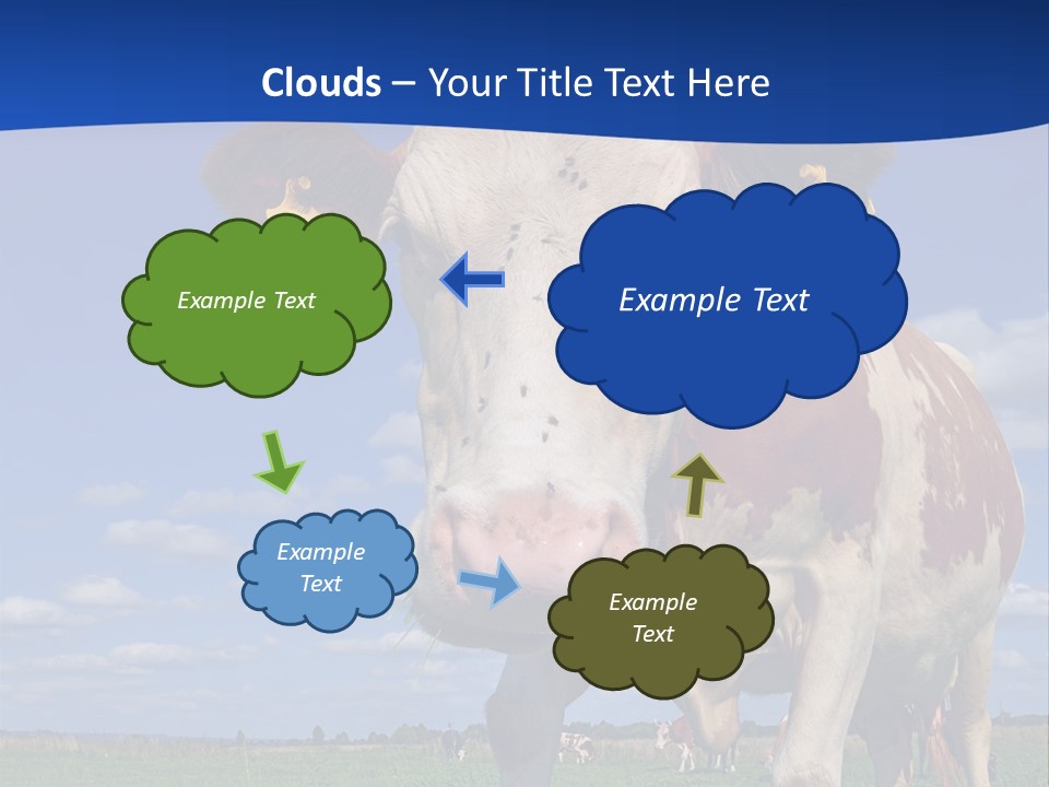 A Cow Standing In A Field With A Sky Background PowerPoint Template