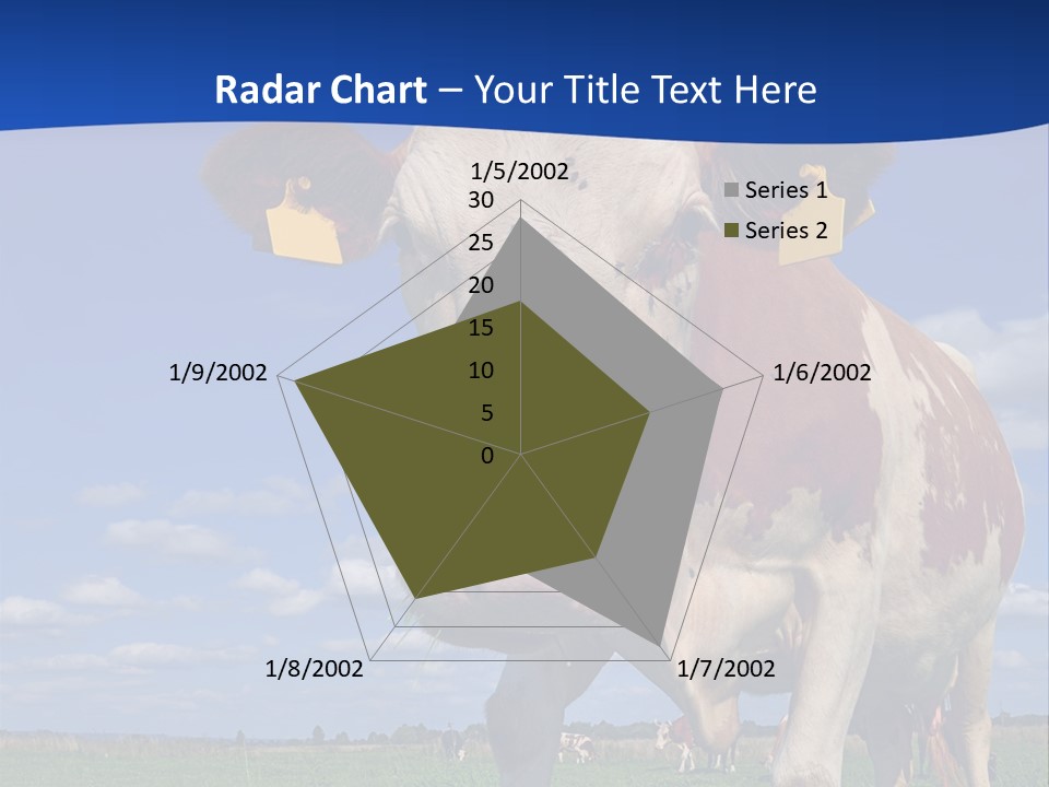 A Cow Standing In A Field With A Sky Background PowerPoint Template