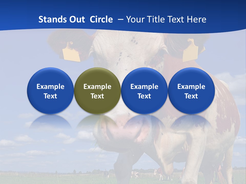 A Cow Standing In A Field With A Sky Background PowerPoint Template