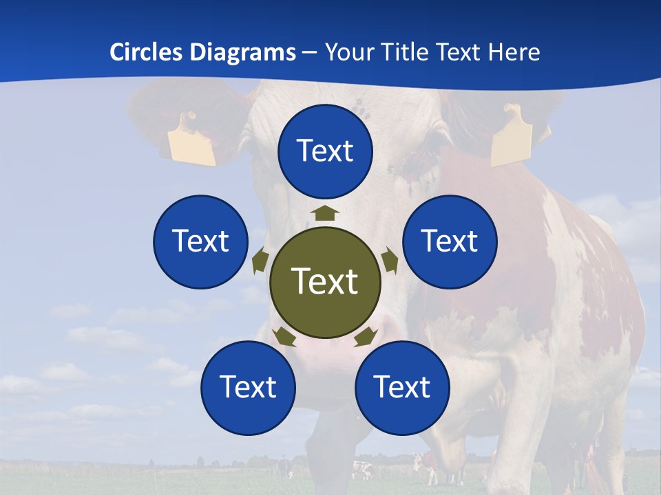 A Cow Standing In A Field With A Sky Background PowerPoint Template