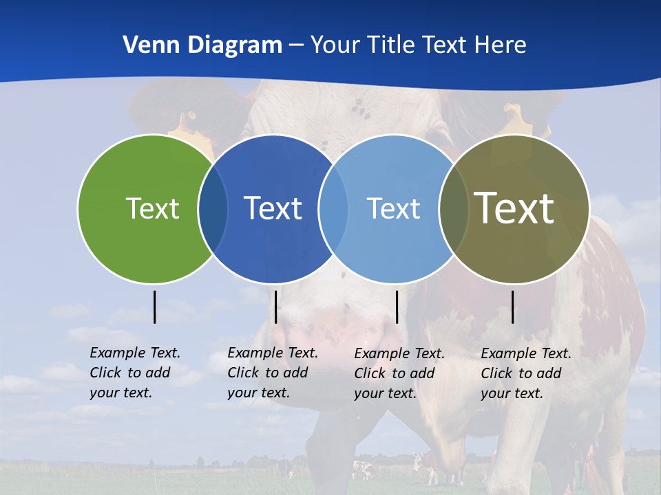 A Cow Standing In A Field With A Sky Background PowerPoint Template