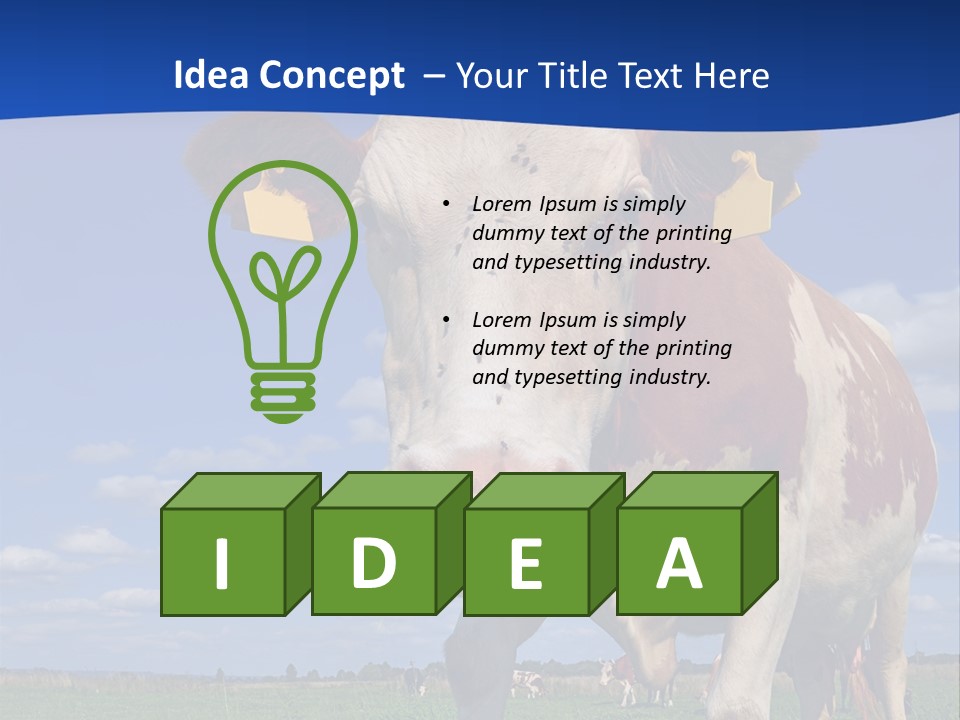 A Cow Standing In A Field With A Sky Background PowerPoint Template