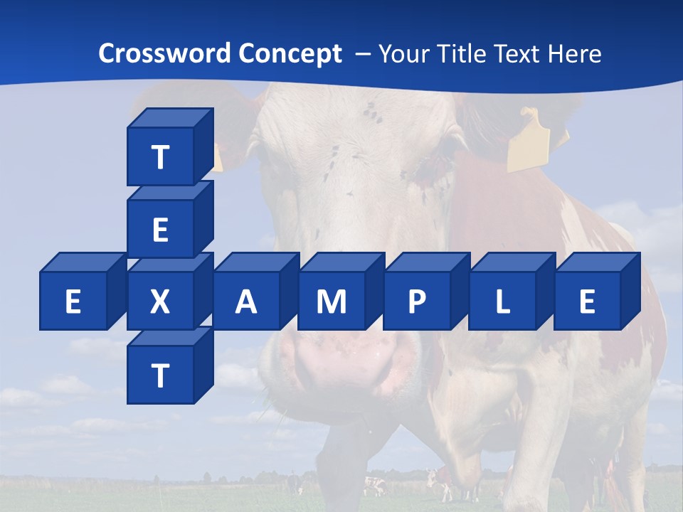 A Cow Standing In A Field With A Sky Background PowerPoint Template