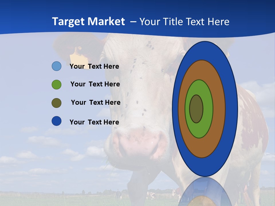 A Cow Standing In A Field With A Sky Background PowerPoint Template