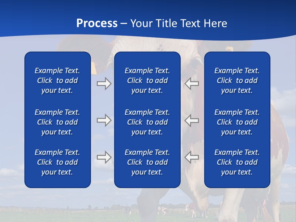 A Cow Standing In A Field With A Sky Background PowerPoint Template