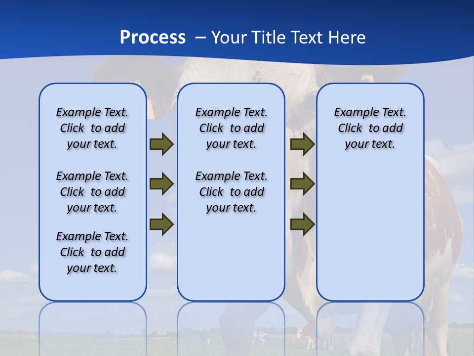 A Cow Standing In A Field With A Sky Background PowerPoint Template