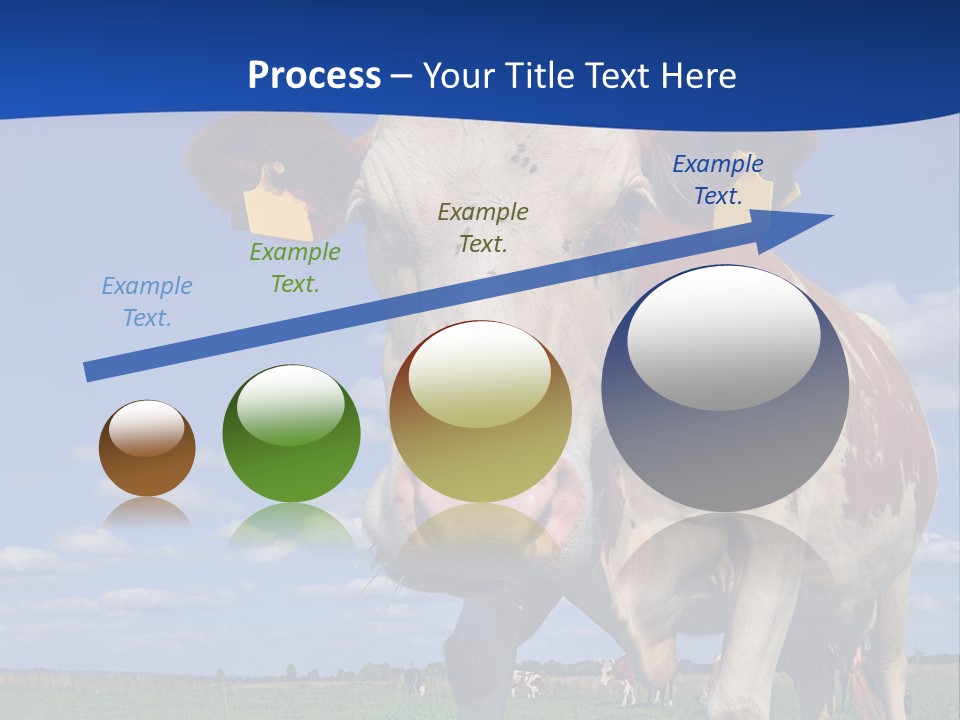 A Cow Standing In A Field With A Sky Background PowerPoint Template