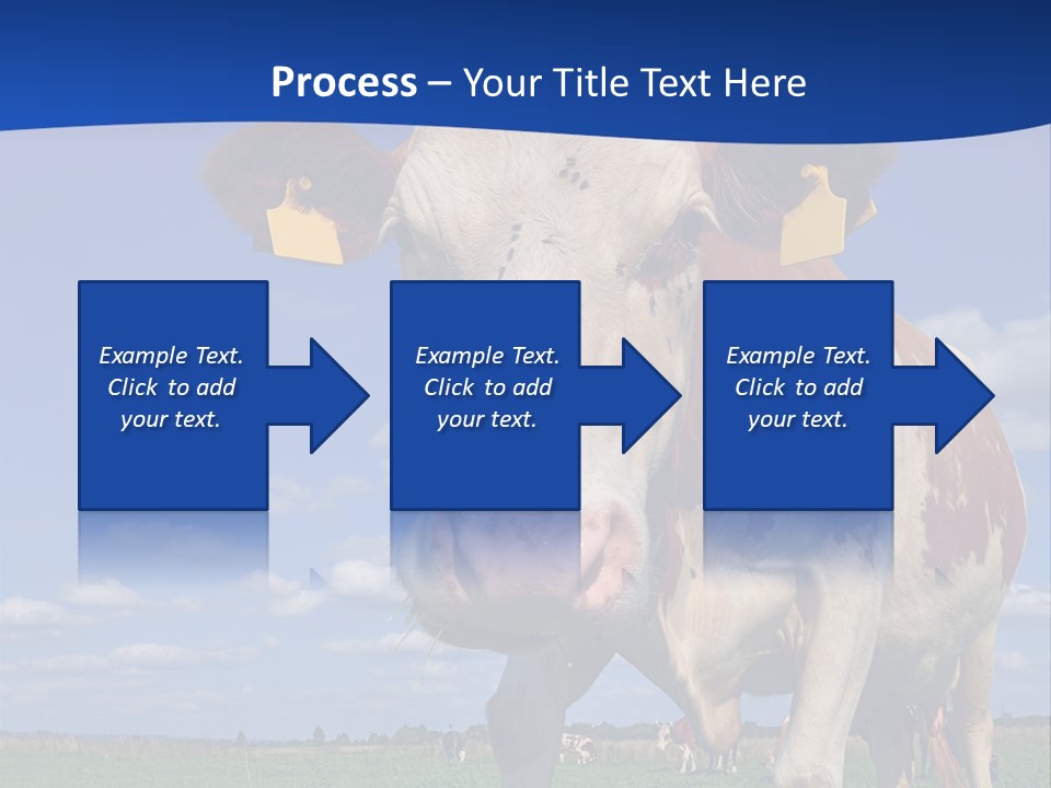 A Cow Standing In A Field With A Sky Background PowerPoint Template