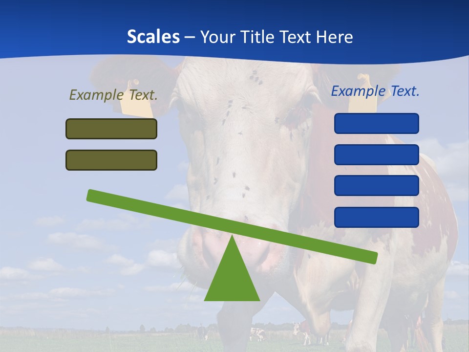 A Cow Standing In A Field With A Sky Background PowerPoint Template