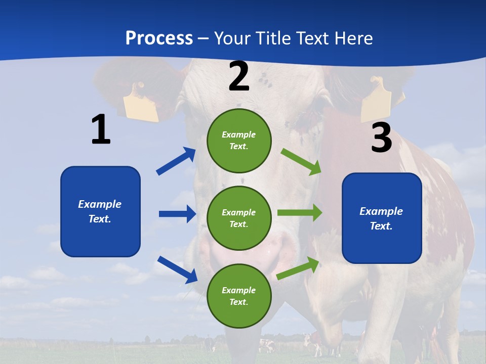 A Cow Standing In A Field With A Sky Background PowerPoint Template