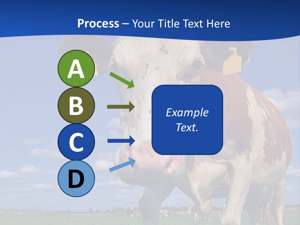 A Cow Standing In A Field With A Sky Background PowerPoint Template