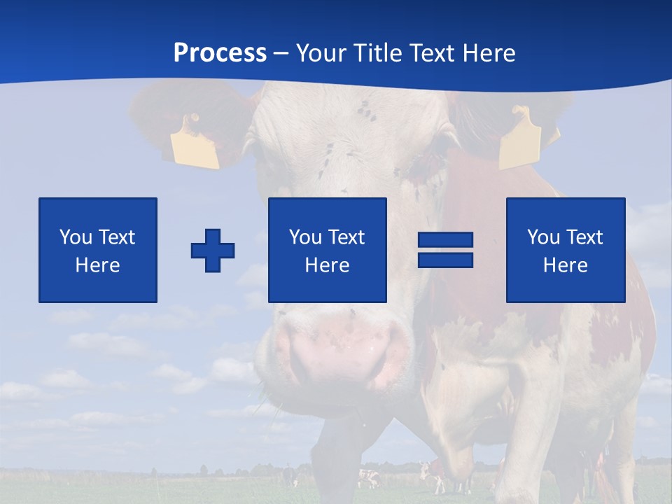 A Cow Standing In A Field With A Sky Background PowerPoint Template