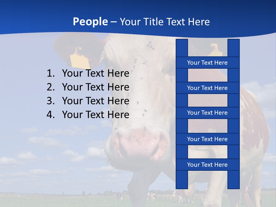 A Cow Standing In A Field With A Sky Background PowerPoint Template