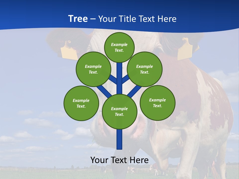 A Cow Standing In A Field With A Sky Background PowerPoint Template