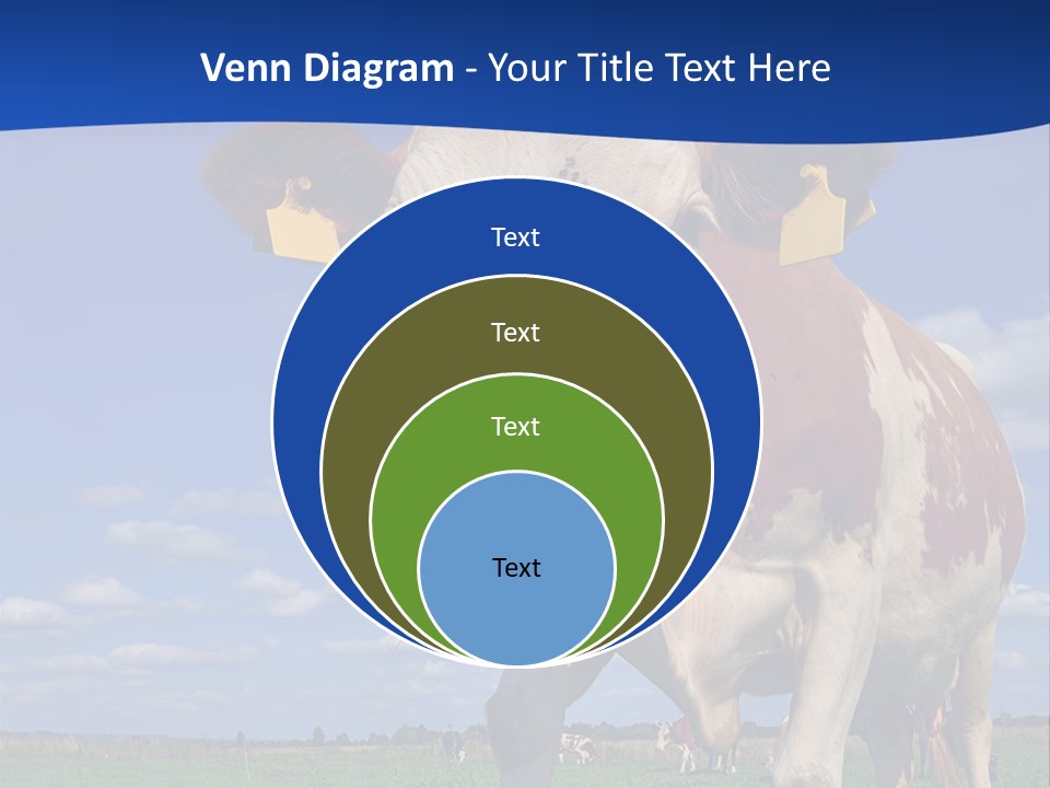 A Cow Standing In A Field With A Sky Background PowerPoint Template