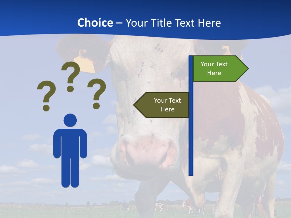 A Cow Standing In A Field With A Sky Background PowerPoint Template
