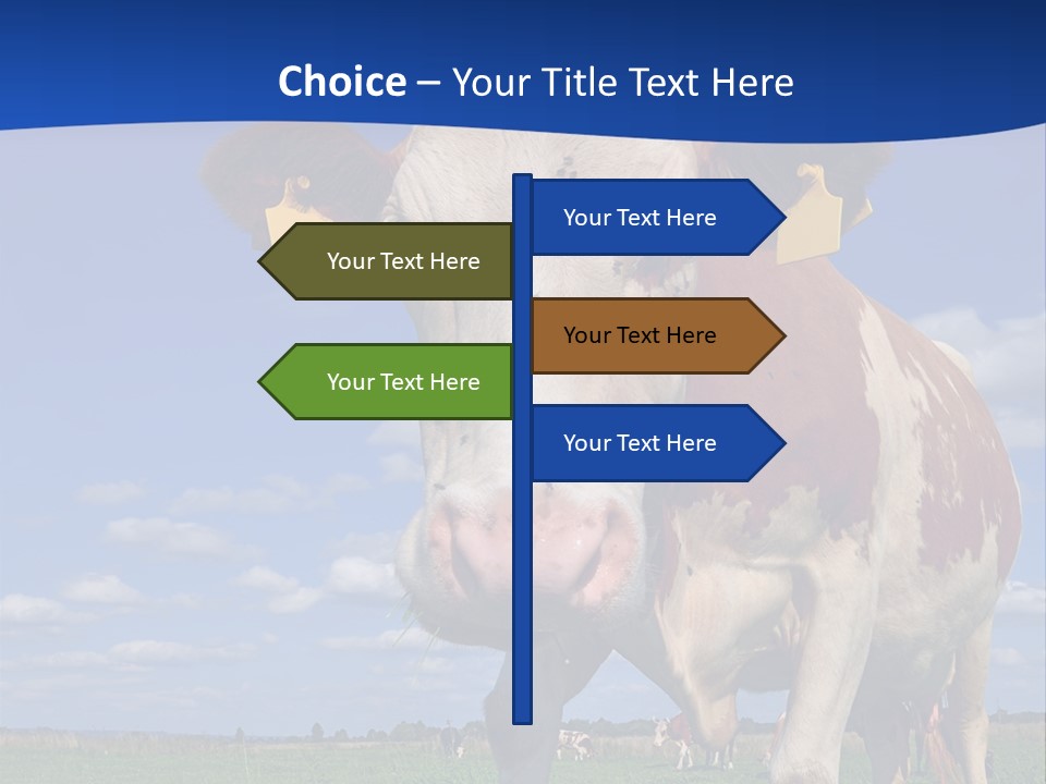 A Cow Standing In A Field With A Sky Background PowerPoint Template