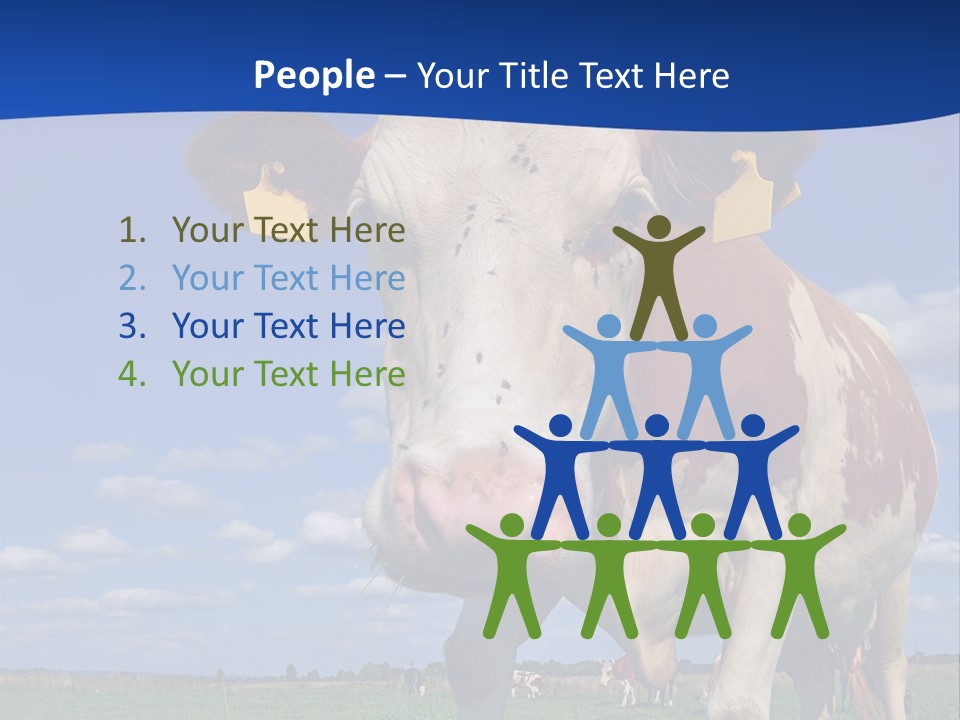 A Cow Standing In A Field With A Sky Background PowerPoint Template