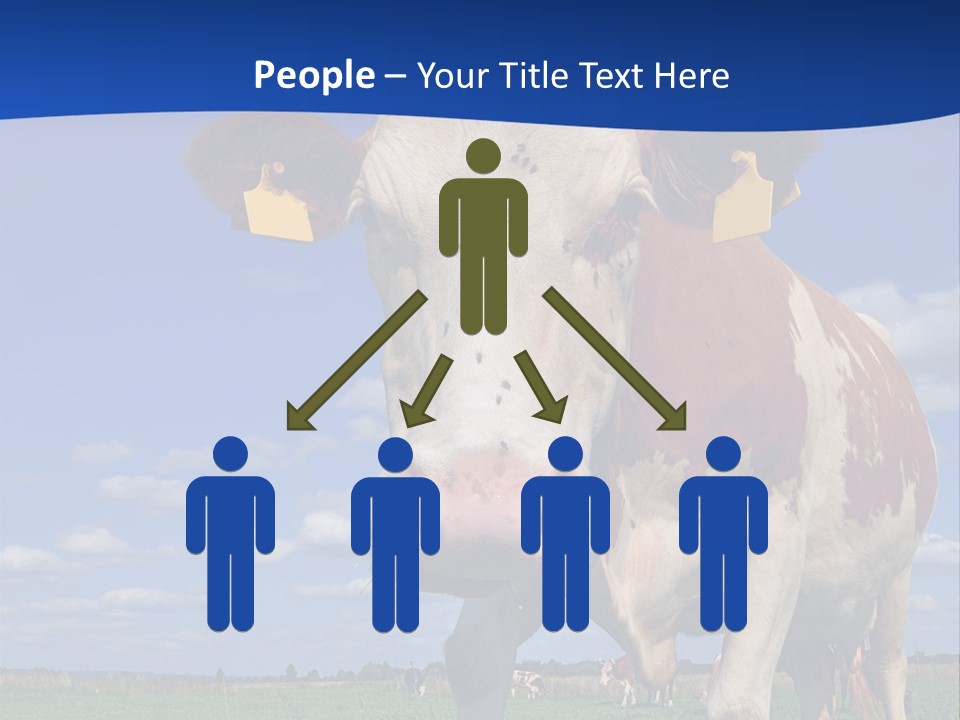 A Cow Standing In A Field With A Sky Background PowerPoint Template