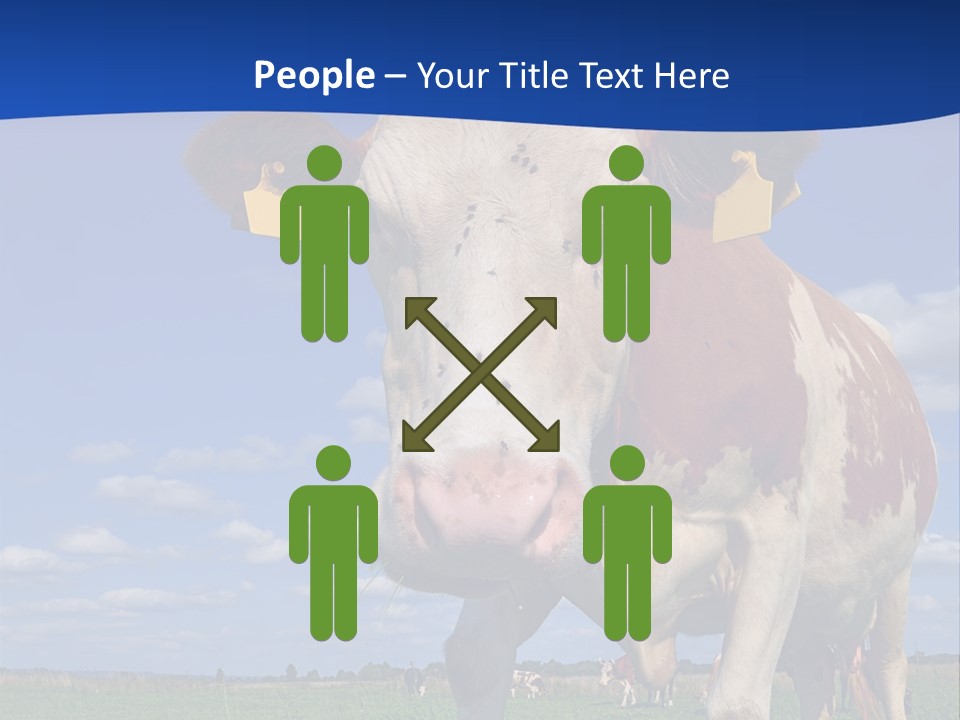 A Cow Standing In A Field With A Sky Background PowerPoint Template