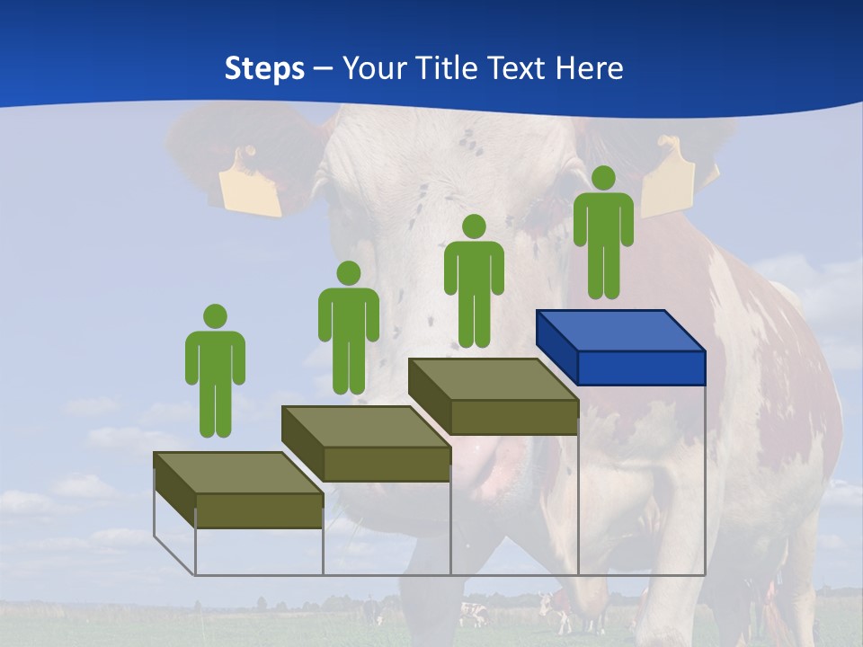 A Cow Standing In A Field With A Sky Background PowerPoint Template