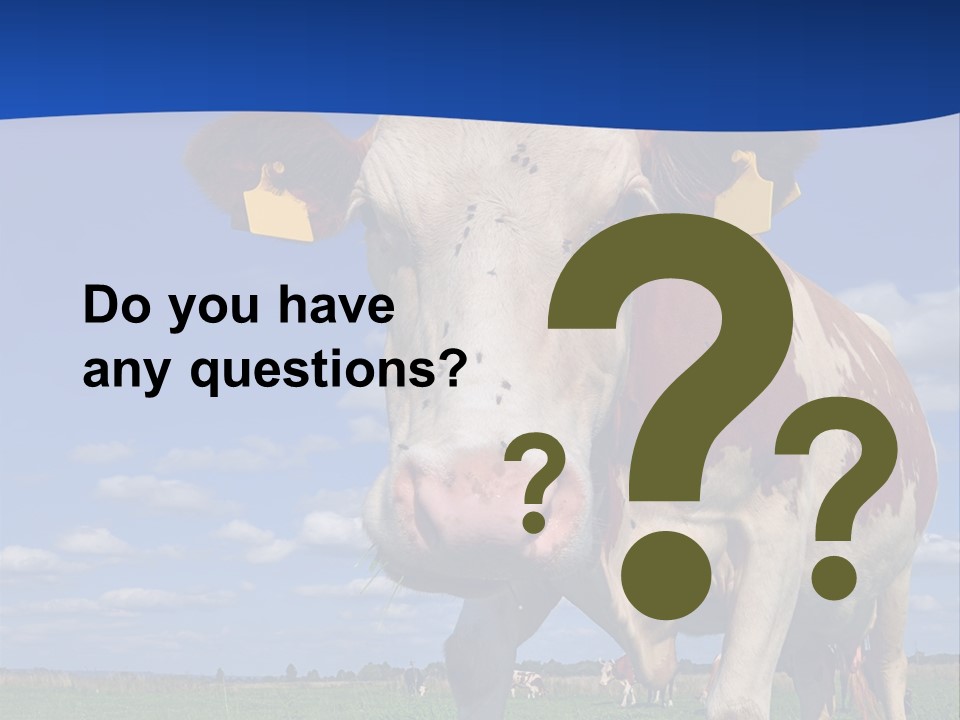 A Cow Standing In A Field With A Sky Background PowerPoint Template