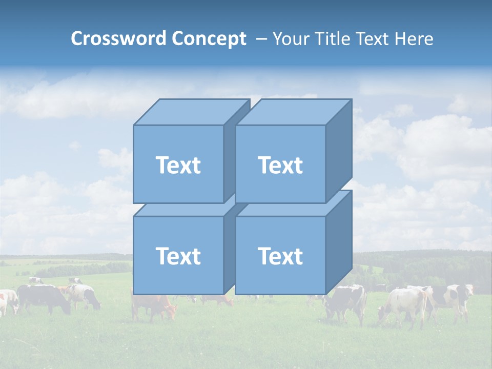 A Herd Of Cattle Grazing On A Lush Green Field PowerPoint Template