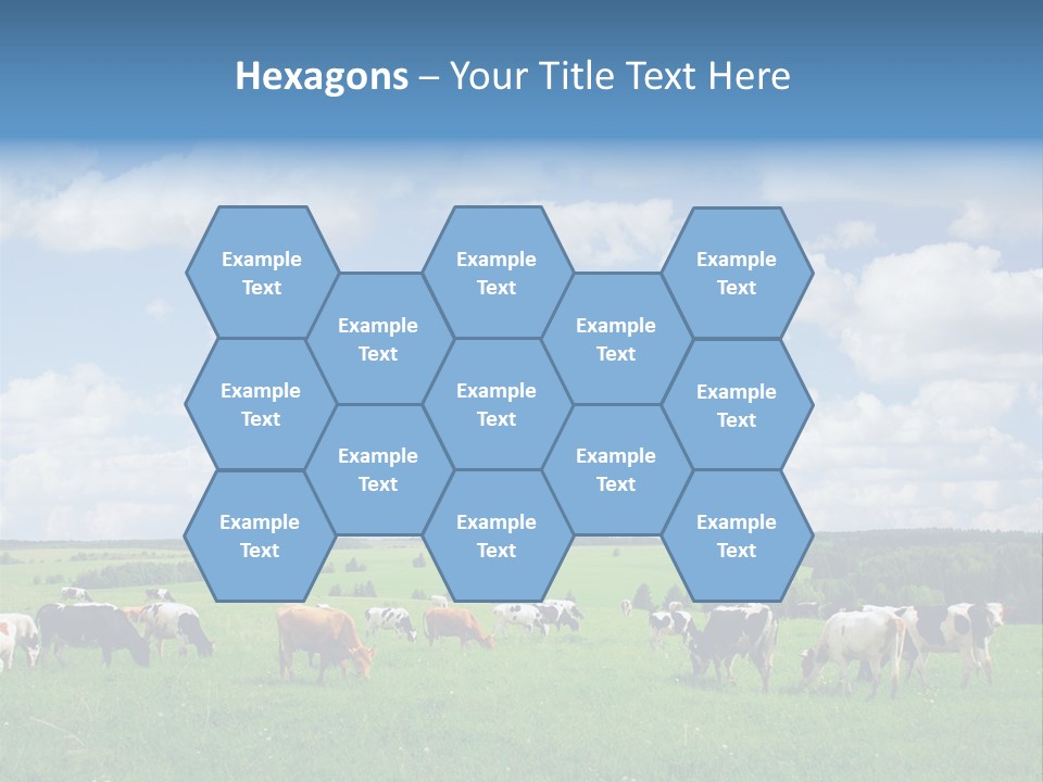 A Herd Of Cattle Grazing On A Lush Green Field PowerPoint Template