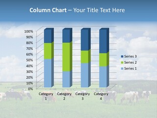 A Herd Of Cattle Grazing On A Lush Green Field PowerPoint Template