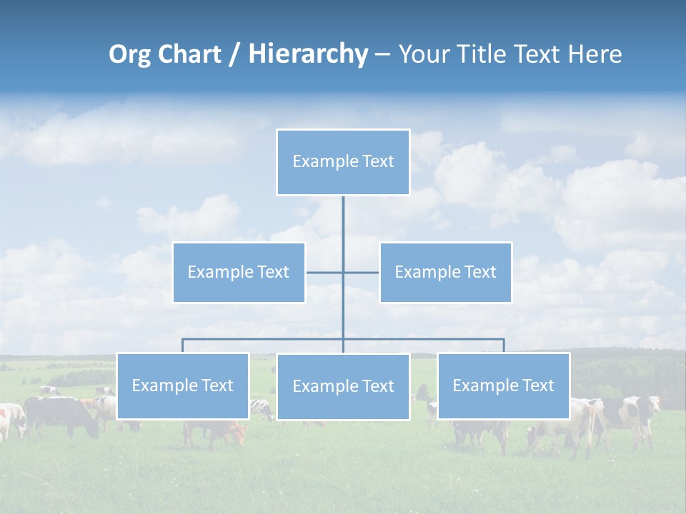 A Herd Of Cattle Grazing On A Lush Green Field PowerPoint Template