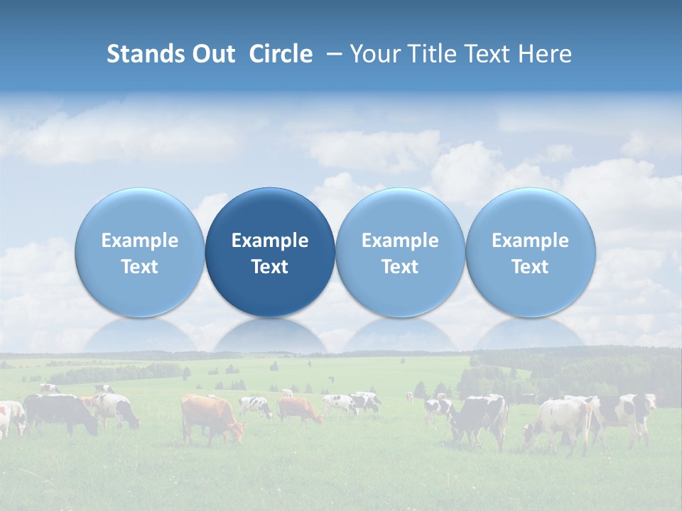 A Herd Of Cattle Grazing On A Lush Green Field PowerPoint Template