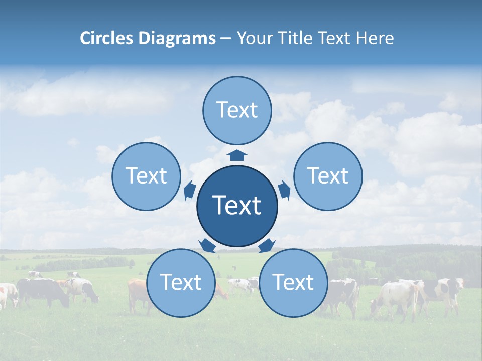 A Herd Of Cattle Grazing On A Lush Green Field PowerPoint Template
