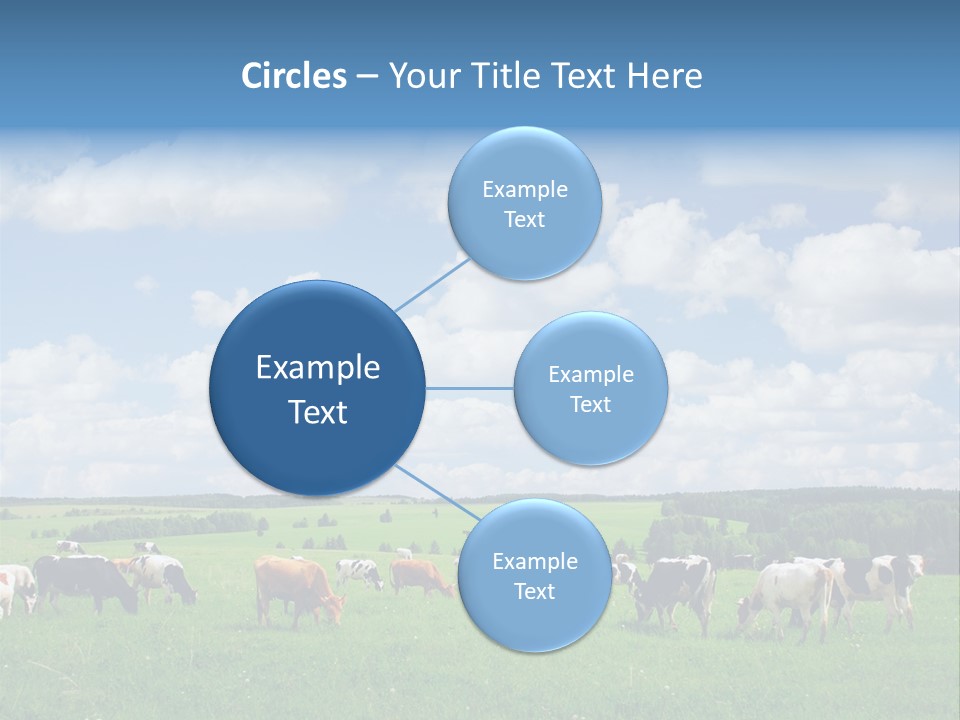 A Herd Of Cattle Grazing On A Lush Green Field PowerPoint Template