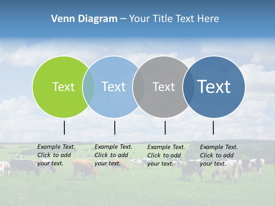 A Herd Of Cattle Grazing On A Lush Green Field PowerPoint Template