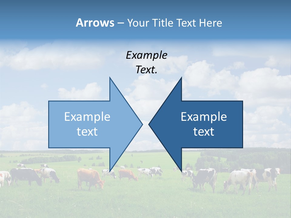 A Herd Of Cattle Grazing On A Lush Green Field PowerPoint Template