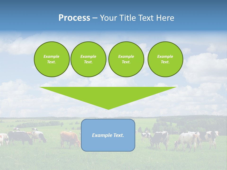 A Herd Of Cattle Grazing On A Lush Green Field PowerPoint Template