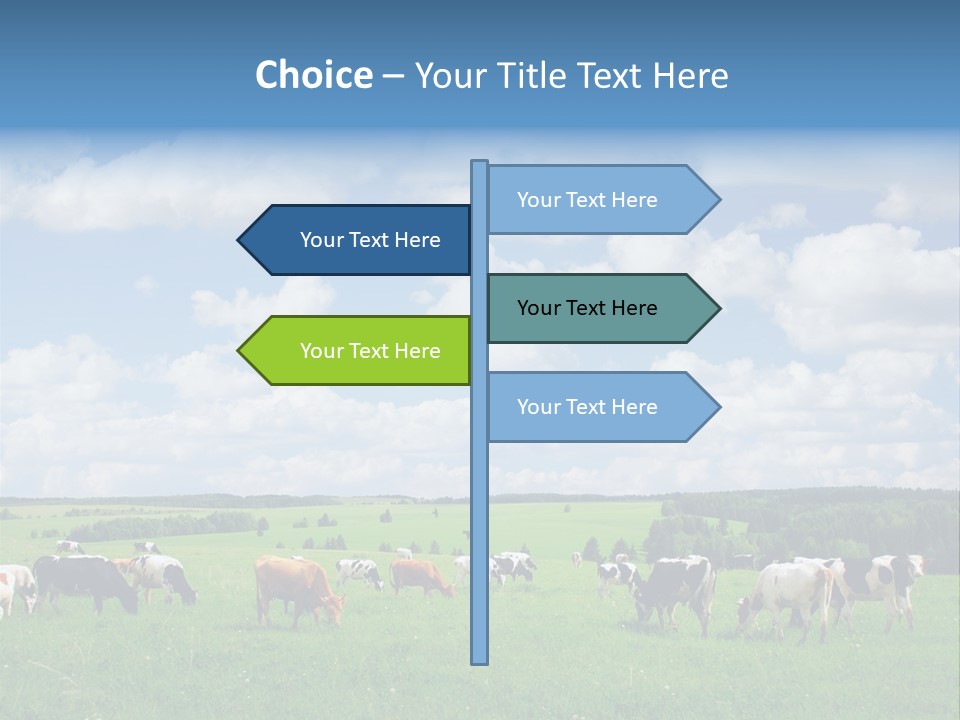 A Herd Of Cattle Grazing On A Lush Green Field PowerPoint Template