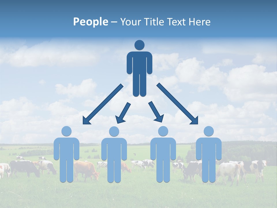 A Herd Of Cattle Grazing On A Lush Green Field PowerPoint Template