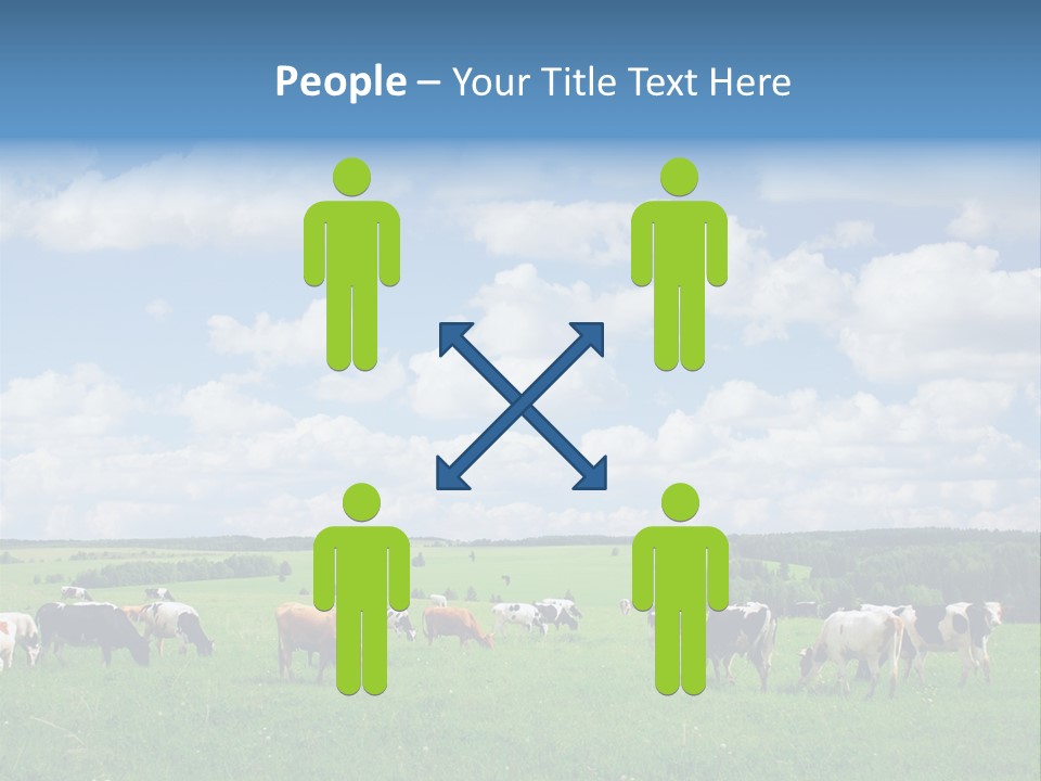 A Herd Of Cattle Grazing On A Lush Green Field PowerPoint Template