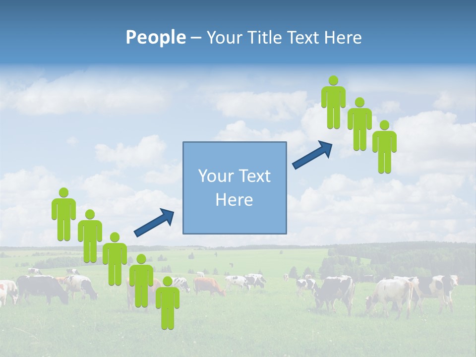 A Herd Of Cattle Grazing On A Lush Green Field PowerPoint Template