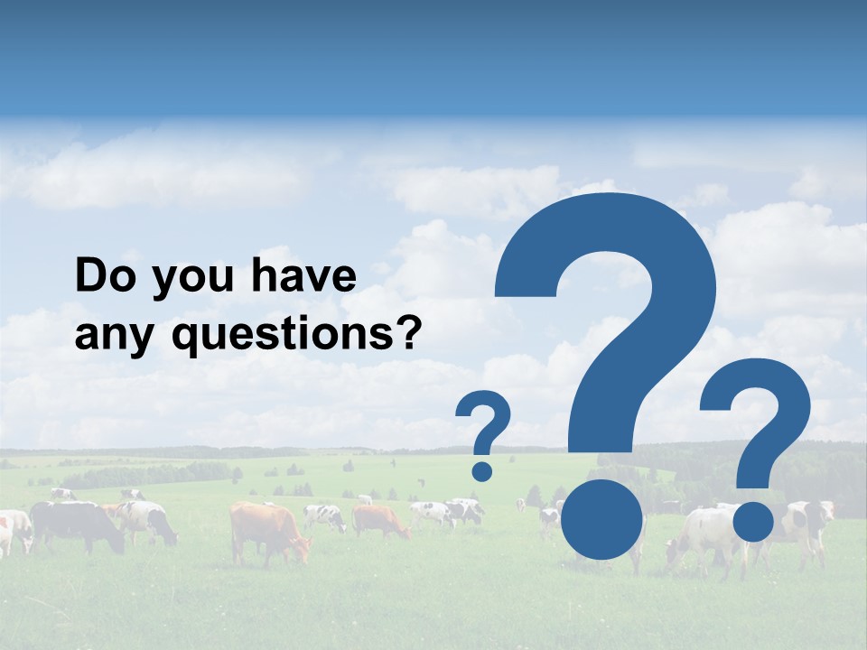 A Herd Of Cattle Grazing On A Lush Green Field PowerPoint Template