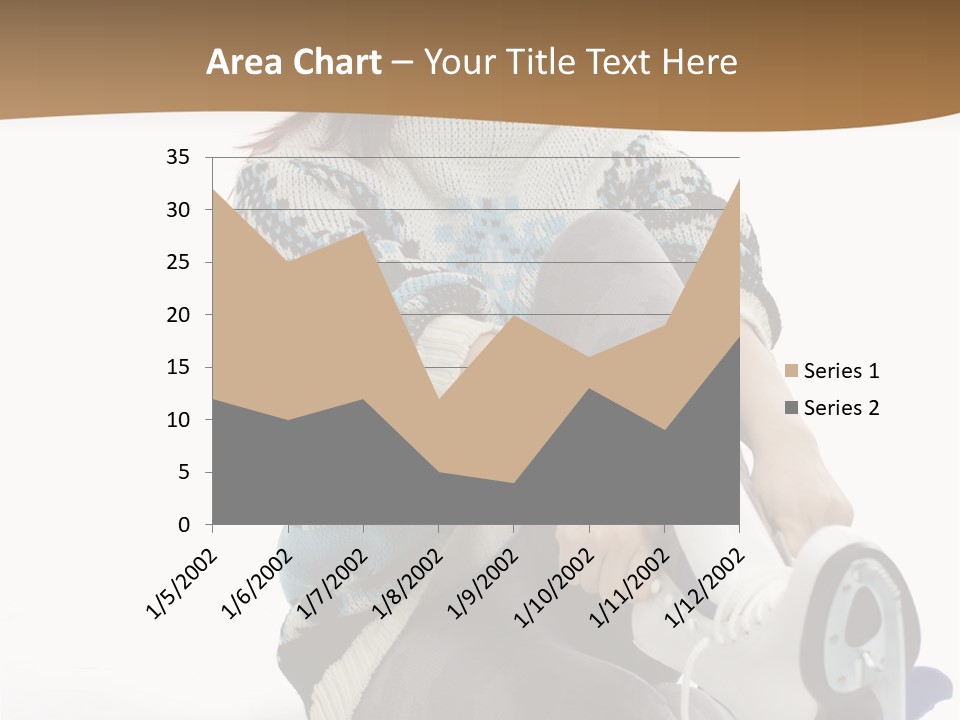 Appearance Casual Skates PowerPoint Template