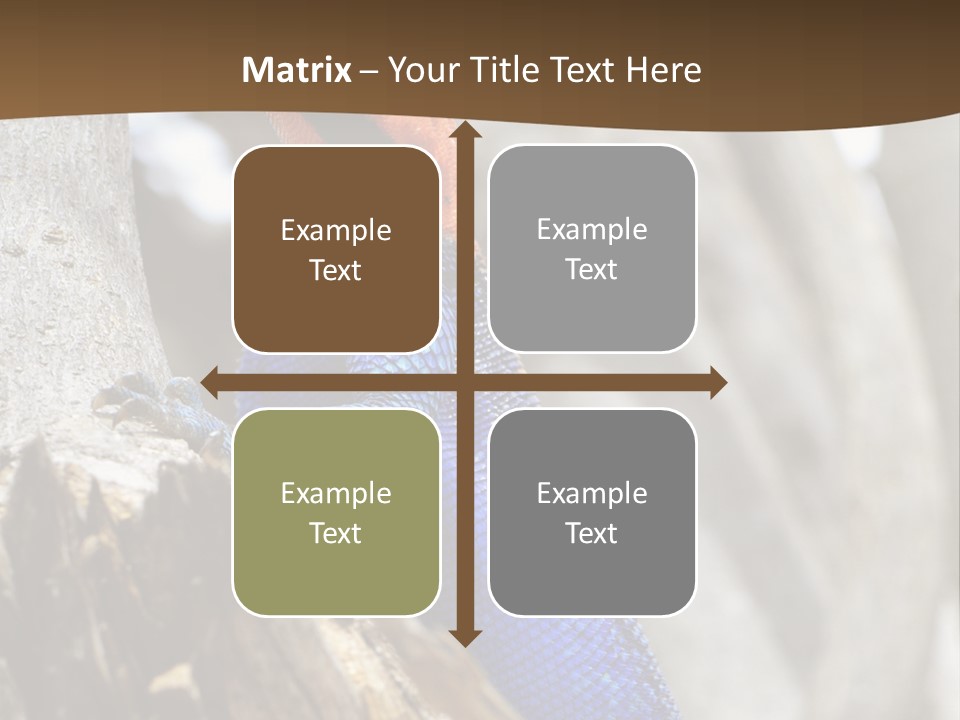 Agama Agama Colourful Colorful PowerPoint Template