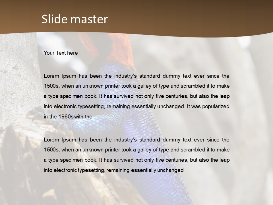 Agama Agama Colourful Colorful PowerPoint Template